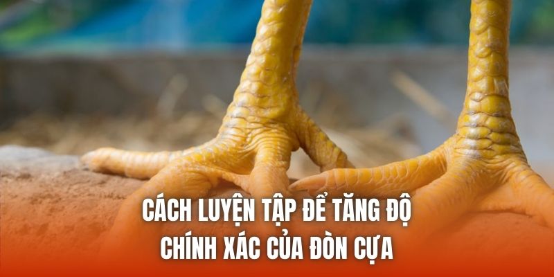Cách luyện tập để tăng độ chính xác của đòn cựa
