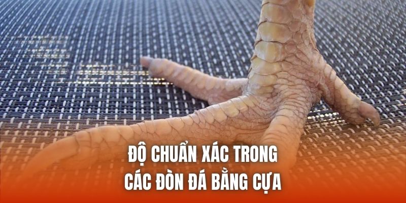 Độ chuẩn xác trong các đòn đá bằng cựa