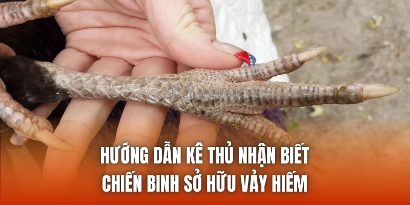 Hướng dẫn kê thủ nhận biết chiến binh sở hữu vảy hiếm