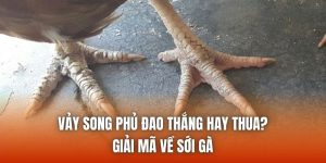 Vảy Song Phủ Đao Thắng Hay Thua? Giải Mã Về Sới Gà
