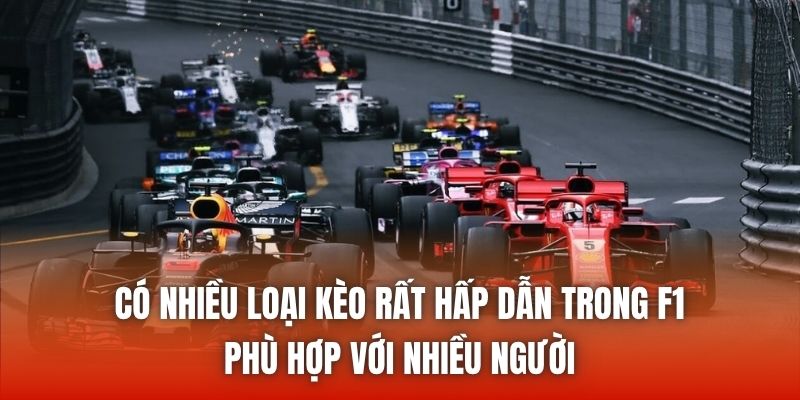 Có nhiều loại kèo rất hấp dẫn trong F1 phù hợp với nhiều người