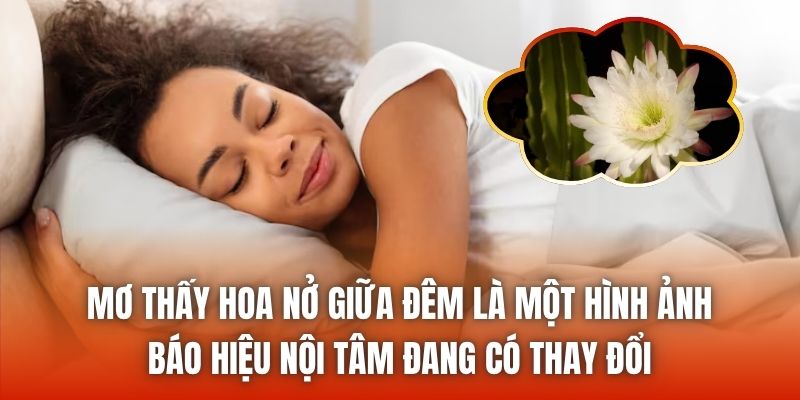 Mơ thấy hoa nở giữa đêm là một hình ảnh báo hiệu nội tâm đang có thay đổi