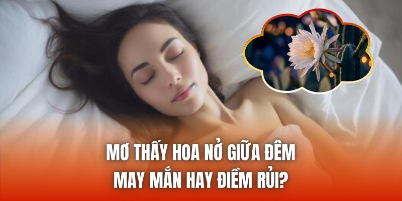 Mơ Thấy Hoa Nở Giữa Đêm | May Mắn Hay Điềm Rủi?