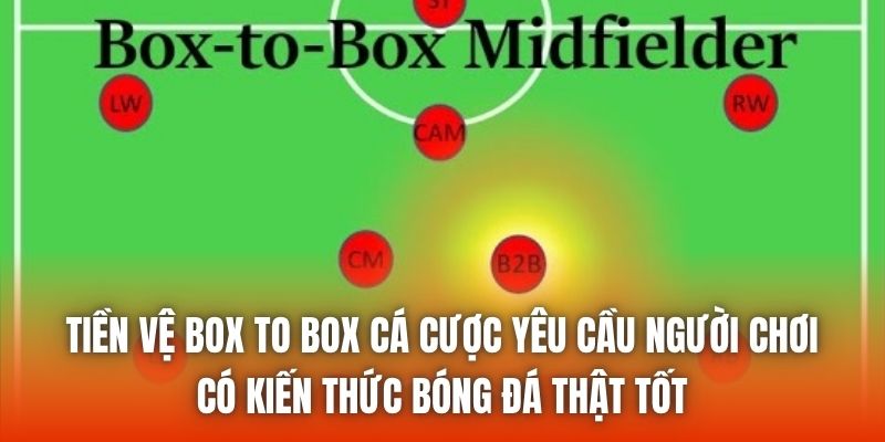 Tiền vệ box to box cá cược yêu cầu người chơi có kiến thức bóng đá thật tốt