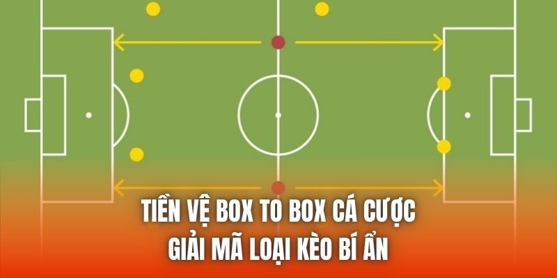 Tiền Vệ Box To Box Cá Cược - Giải Mã Loại Kèo Bí Ẩn